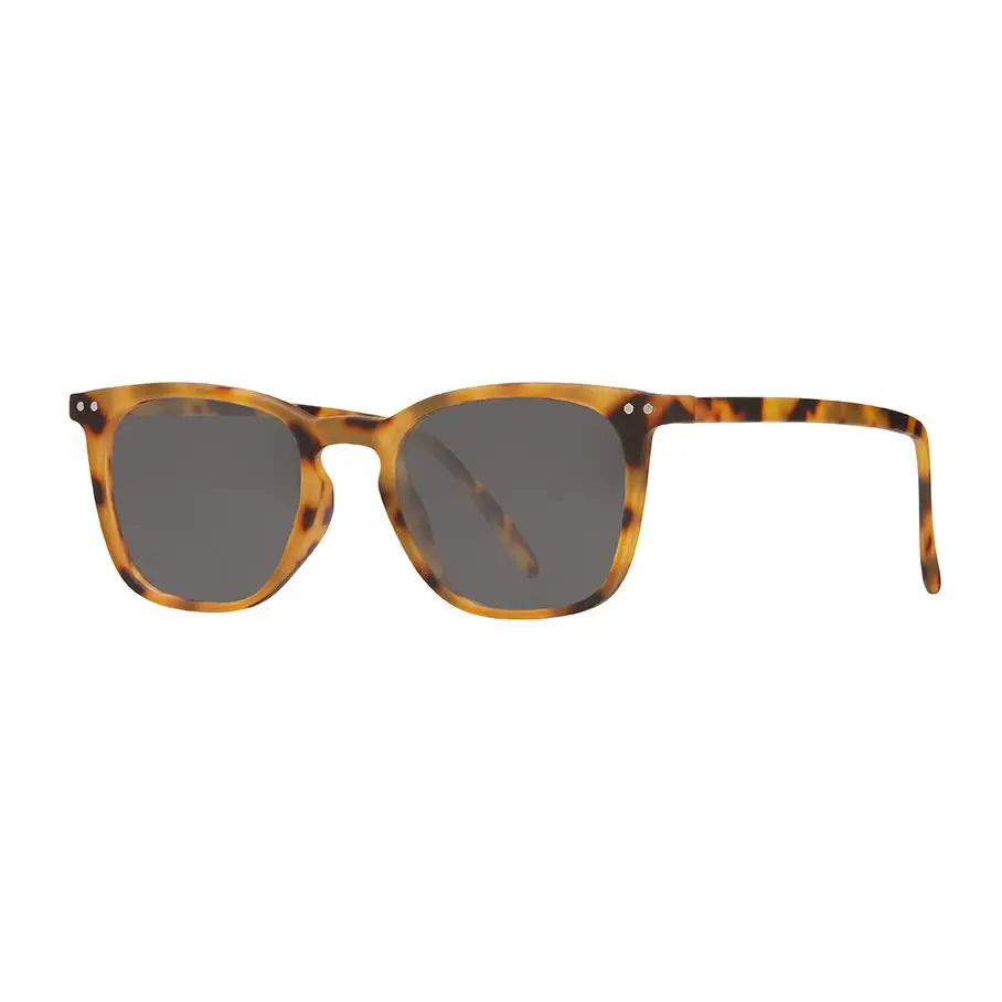 Harper Sun-Soft Honey Tortoise-Sun Tinted Readers