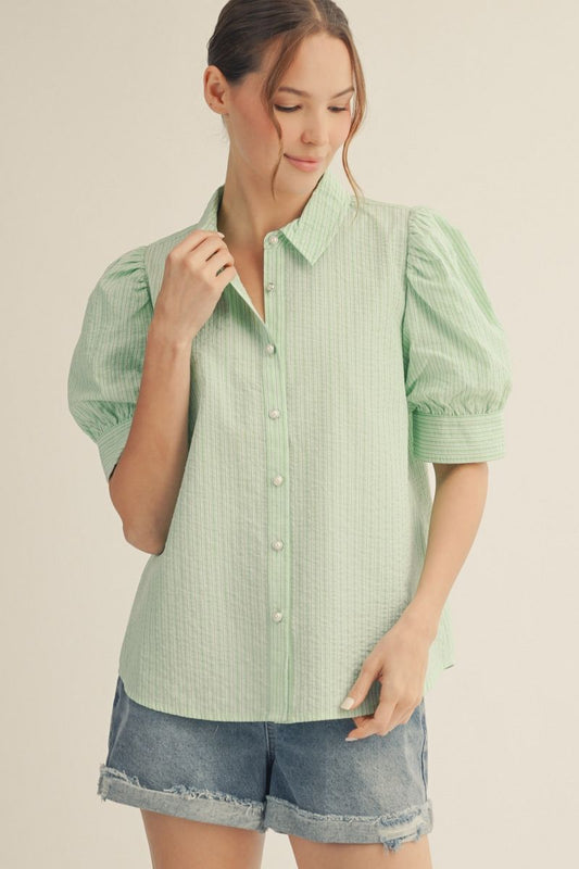 Puff Sleeve Textured Blouse