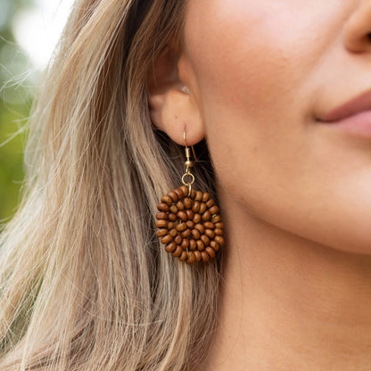 Chromatic Hues Earrings