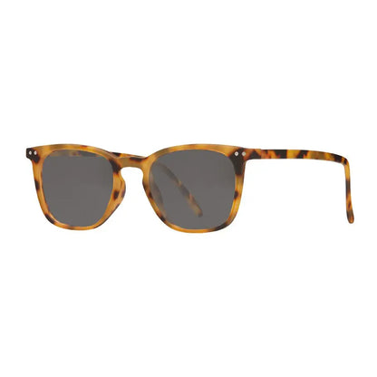 Harper Sun-Soft Honey Tortoise-Sun Tinted Readers