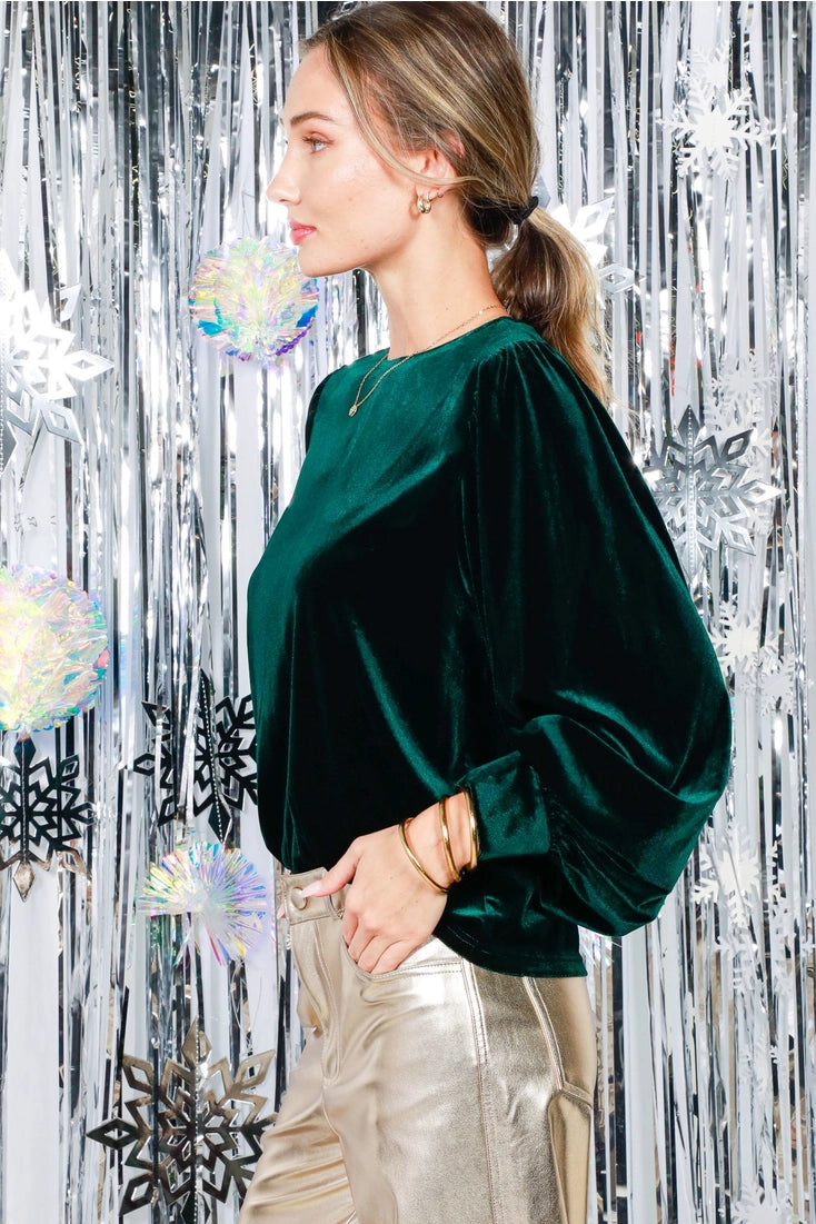 Long Balloon Sleeve Round Neck Velvet Blouse Top