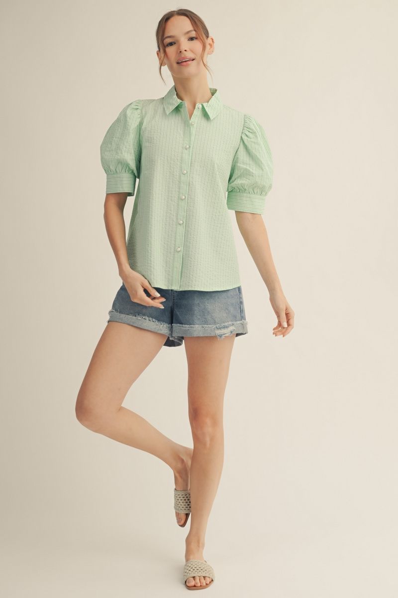 Puff Sleeve Textured Blouse