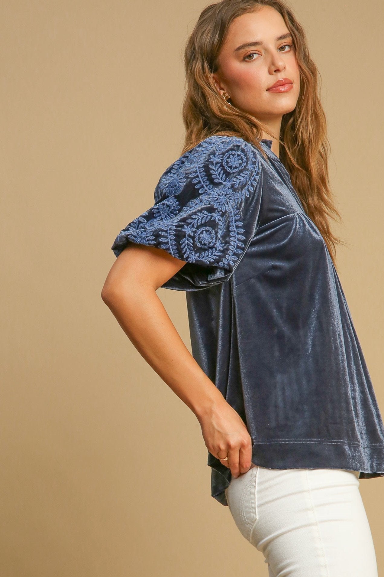 Velvet Embroidered Sleeve Top