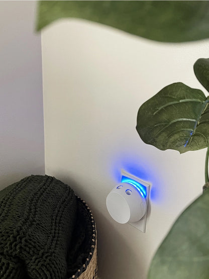 Pura + Bridgewater Sweet Grace Lover's Kit