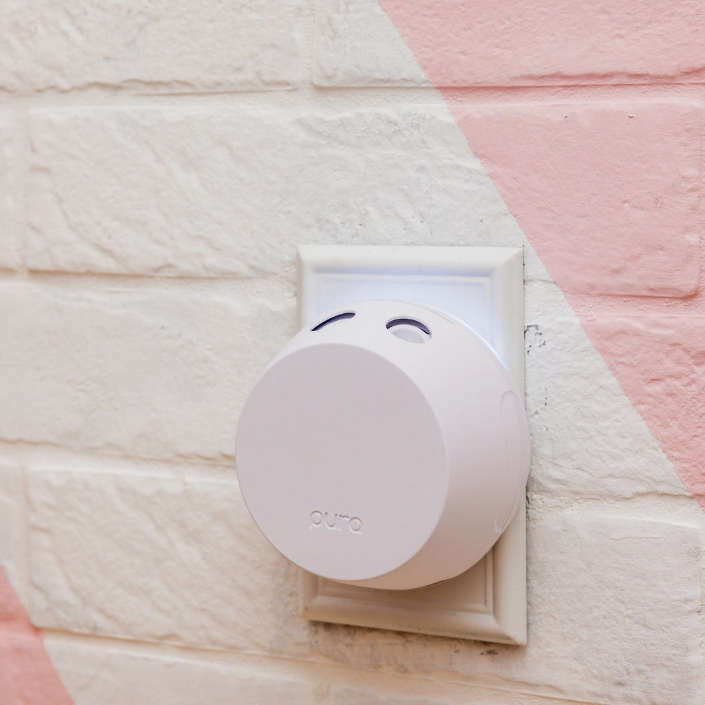 Pura + Bridgewater Sweet Grace Lover's Kit