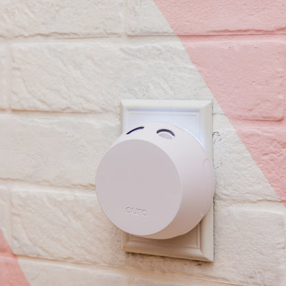 Pura + Bridgewater Sweet Grace Lover's Kit