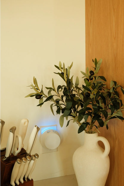 Pura + Bridgewater Sweet Grace Lover's Kit