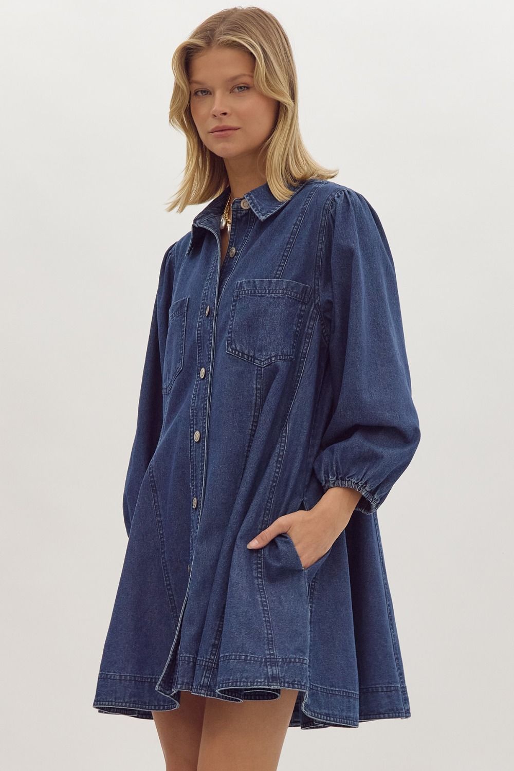 Denim Collared Button Up Dress