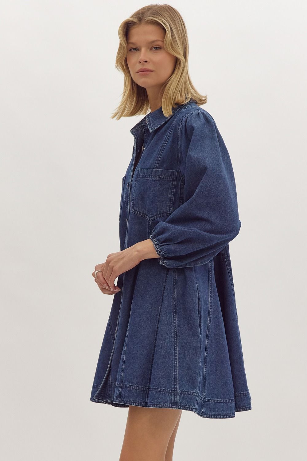 Denim Collared Button Up Dress