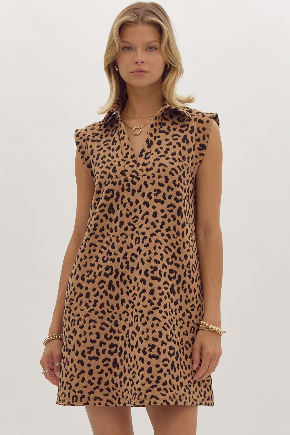 Leopard V-Neck Dress